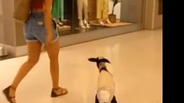 Reprodução// Vídeo