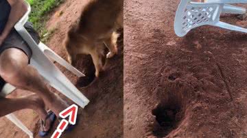 Reprodução/TikTok @isacavalini