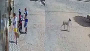 Reprodução/Redes Sociais