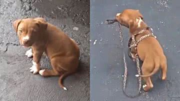 Reprodução/TikTok @ayron_akyra