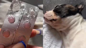 Reprodução/TikTok @isabelafreiitas06