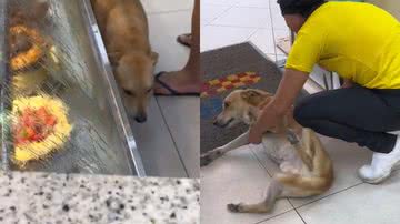 Reprodução/TikTok @joannabalthazar