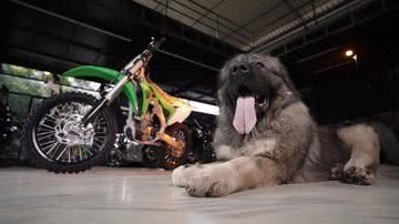 Reprodução/Instagram @satishcadaboms