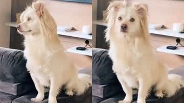 Reprodução/TikTok @_bia.fr