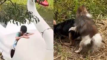 Reprodução/TikTok @camilykiefer