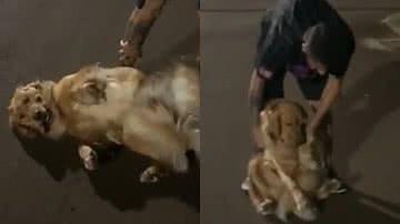 Reprodução/TikTok @diogomendes210