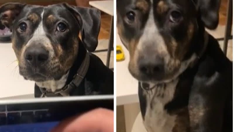 Reprodução// TikTok @chuletatiktok