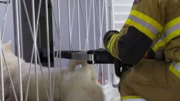 Divulgação/Corpo de Bombeiros