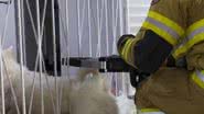 Divulgação/Corpo de Bombeiros