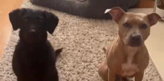 Reprodução / Instagram @zucatelli