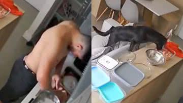 Reprodução/TikTok @camilaatikian