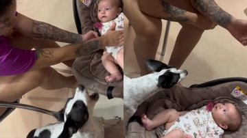 Reprodução/TikTok @vanessavaljaovalj