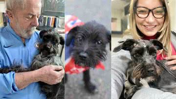 Reprodução / Twitter