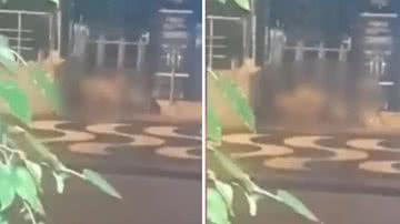 Reprodução/Twitter