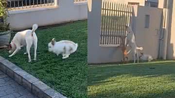 Reprodução/TikTok @jaquebatisti