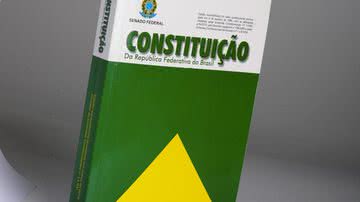 Rodrigo Viana/Senado Federal