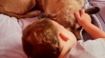 Reprodução// TikTok @lucreiss