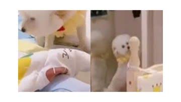 Reprodução/Instagram @reinaldomaicon