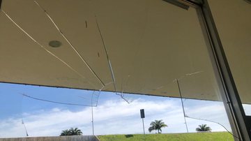 Daniela Pereira// Bnews