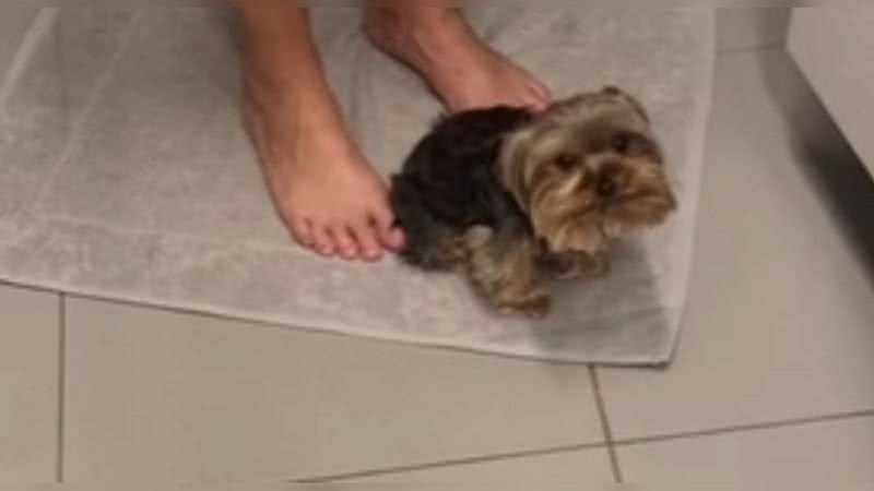 Reprodução/ Vídeo
