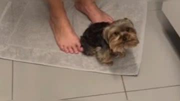 Reprodução/ Vídeo