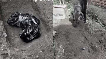 Reprodução/TikTok @giovannasluzek