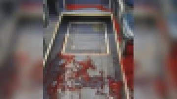 TV Globo/Reprodução