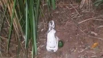 Divulgação/Polícia Militar