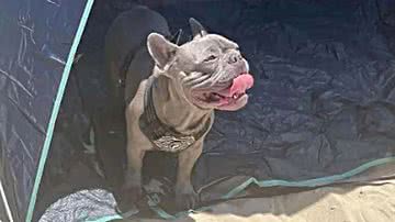 Reprodução/Facebook/Alana Reid