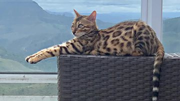 Reprodução/Instagram @dr.luizaugustomachado