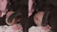 Imagem Gata vira babá e mostra técnicas diferenciadas para cuidar de bebê; assista