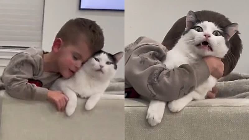 Reprodução/TikTok @brinmach