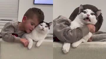 Reprodução/TikTok @brinmach