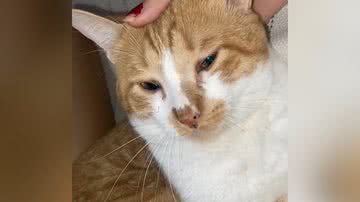 Reprodução/TikTok @jackellynnebarros0