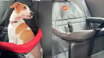 Reprodução/TikTok @thaisribeir.o