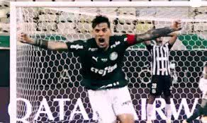 @palmeiras/instagram