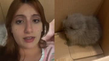 Reprodução/TikTok @julia_garzon