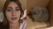 Reprodução/TikTok @julia_garzon