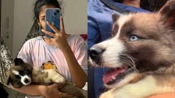 Reprodução/TikTok @jamillecustodio