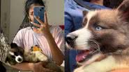 Reprodução/TikTok @jamillecustodio