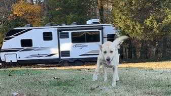 Reprodução// TikTok @watkinsalex