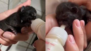 Reprodução/TikTok @jessyzancanelli