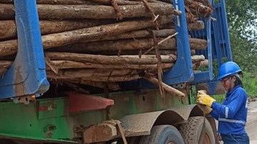 Reprodução/Divulgação