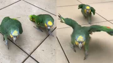 Reprodução/TikTok @biancamarilac