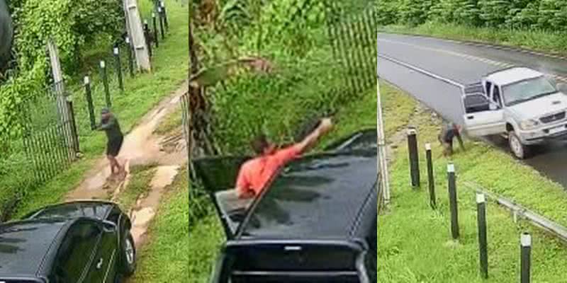 Montagem BNews