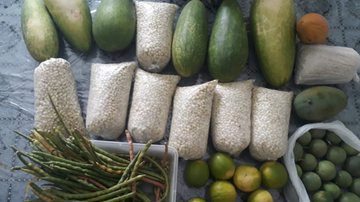 Imagem Produção de alimentos complementa renda de agricultores de Candiba, no sudoeste baiano