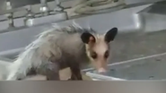 Arquivo Pessoal