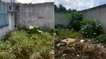 Reprodução // YouTube