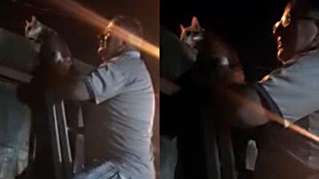 Reprodução/TikTok @tibio.peronio