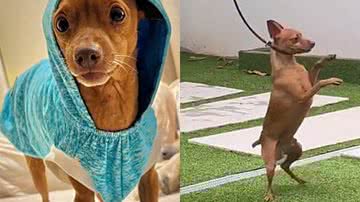 Reprodução/TikTok @estergarciapmu